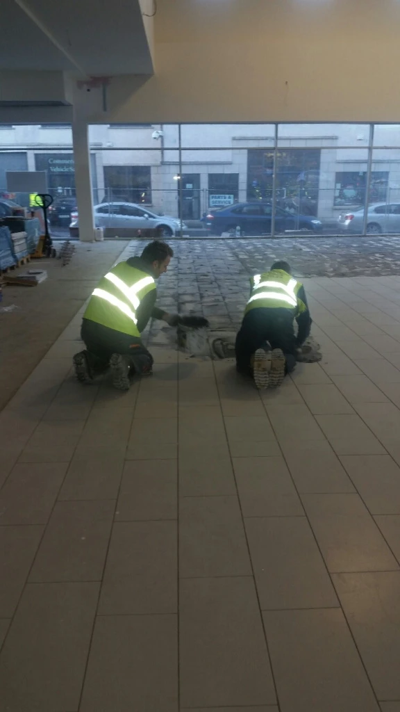 Botament project Galway